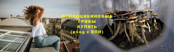 ECSTASY Балабаново